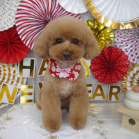 【山手店】2024年1月25日のワンちゃん達♪