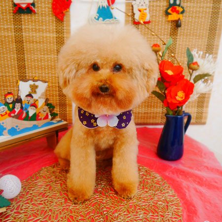 【池下店】2024年1月19日のワンちゃん達♪