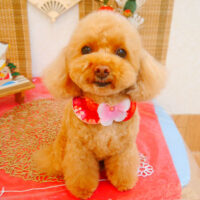 【池下店】2024年1月22日のワンちゃん達♪