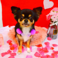 【池下店】2024年1月27日のワンちゃん達♪