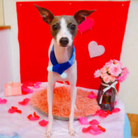 【池下店】2024年1月31日のワンちゃん達♪