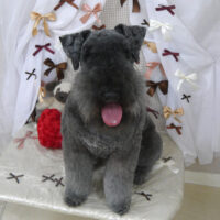 【山手店】2024年2月23日のワンちゃん達♪