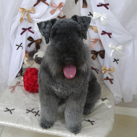 【山手店】2024年2月23日のワンちゃん達♪