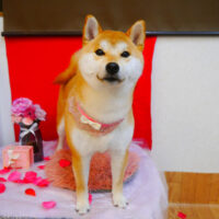 【池下店】2024年2月17日のワンちゃん達♪