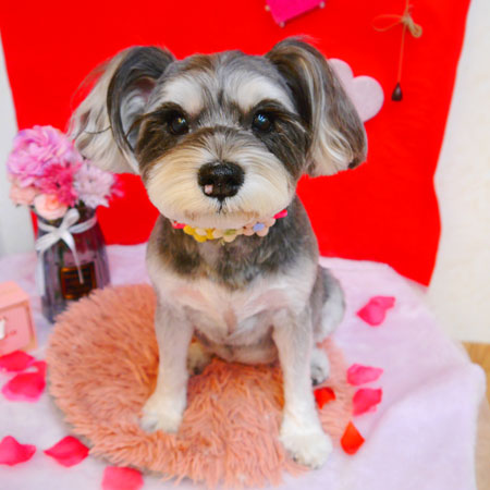 【池下店】2024年2月18日のワンちゃん達♪