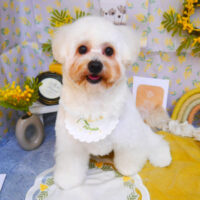 【池下店】2024年2月23日のワンちゃん達♪