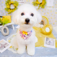 【池下店】2024年2月25日のワンちゃん達♪