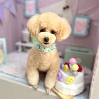 【本店】2024年3月30日のワンちゃん達♪