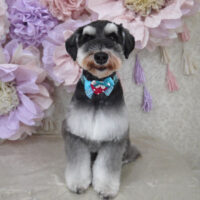 【山手店】2024年3月10日のワンちゃん達♪