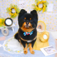 【池下店】2024年3月22日のワンちゃん達♪