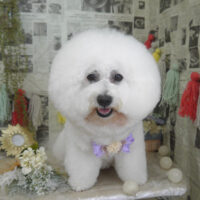 【山手店】2024年5月3日のワンちゃん達♪