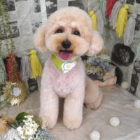 【山手店】2024年5月10日のワンちゃん達♪