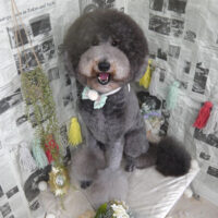 【山手店】2024年5月16日のワンちゃん達♪