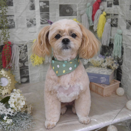 【山手店】2024年5月18日のワンちゃん達♪