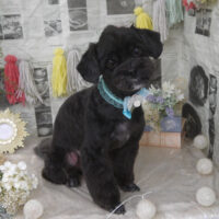 【山手店】2024年5月23日のワンちゃん達♪