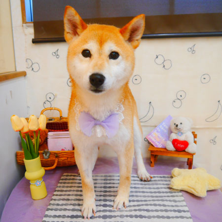 【池下店】2024年5月16日のワンちゃん達♪