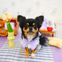 【池下店】2024年5月18日のワンちゃん達♪