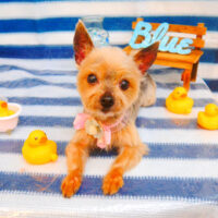 【池下店】2024年5月31日のワンちゃん達♪