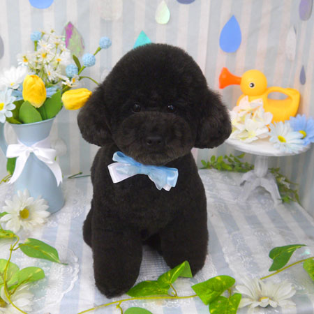 【山手店】2024年6月3日のワンちゃん達♪