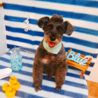 【池下店】2024年6月8日のワンちゃん達♪