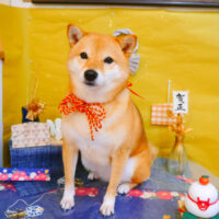 【池下店】2024年12月28日のワンちゃん達♪