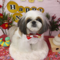 【山手店】2025年1月11日のワンちゃん達♪