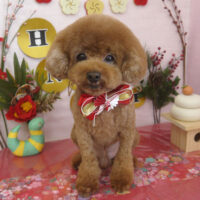 【山手店】2025年1月12日のワンちゃん達♪