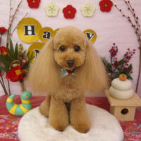 【山手店】2025年1月16日のワンちゃん達♪