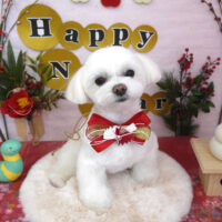 【山手店】2025年1月18日のワンちゃん達♪