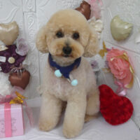 【山手店】2025年1月30日のワンちゃん達♪