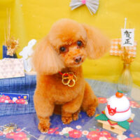 【池下店】2025年1月10日のワンちゃん達♪