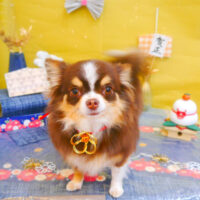 【池下店】2025年1月22日のワンちゃん達♪