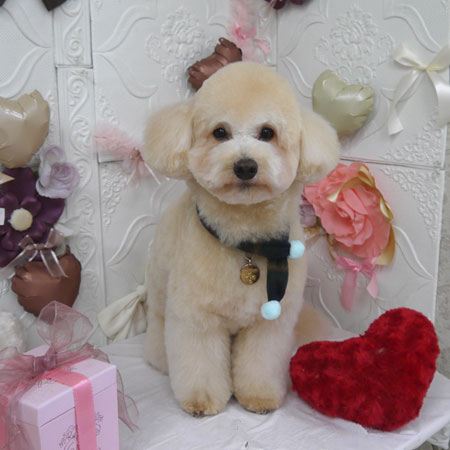 【山手店】2025年2月2日のワンちゃん達♪