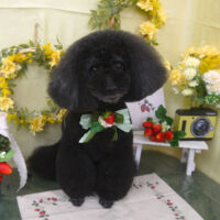 【山手店】2025年2月21日のワンちゃん達♪