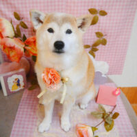 【池下店】2025年2月3日のワンちゃん達♪