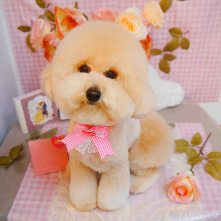 【池下店】2025年2月13日のワンちゃん達♪