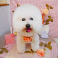 【池下店】2025年2月16日のワンちゃん達♪