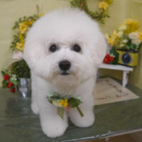 【山手店】2025年3月7日のワンちゃん達♪