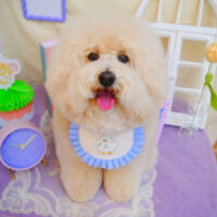 【池下店】2025年3月2日のワンちゃん達♪