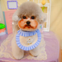 【池下店】2025年3月6日のワンちゃん達♪