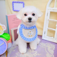 【池下店】2025年3月10日のワンちゃん達♪