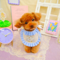 【池下店】2025年3月14日のワンちゃん達♪