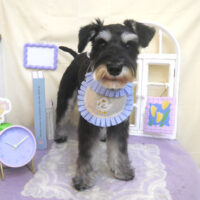 【池下店】2025年3月16日のワンちゃん達♪