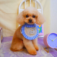 【池下店】2025年3月21日のワンちゃん達♪