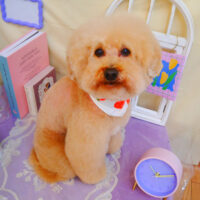 【池下店】2025年3月22日のワンちゃん達♪