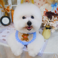 【池下店】2025年3月23日のワンちゃん達♪