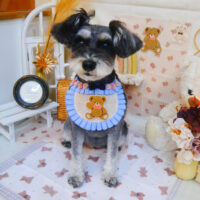 【池下店】2025年3月27日のワンちゃん達♪