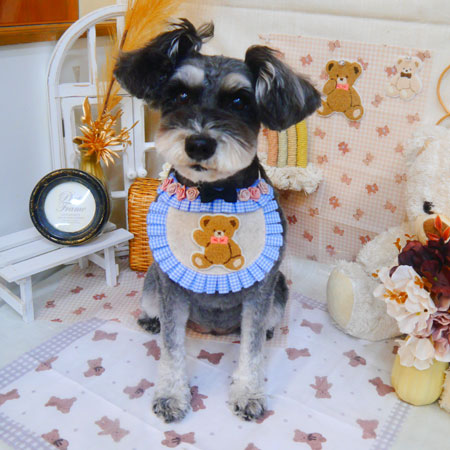 【池下店】2025年3月27日のワンちゃん達♪