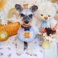 【池下店】2025年3月31日のワンちゃん達♪