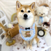 【池下店】2025年4月11日のワンちゃん達♪